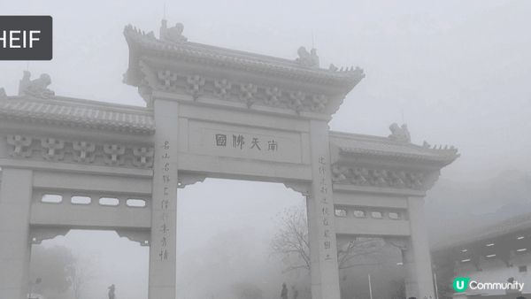 大嶼山一日遊，春天暢游百花齊放 #旅行/郊遊 #打卡熱點