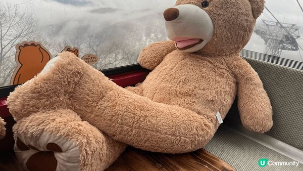 #沉醉櫻花海，去到相川見到羊蹄山，因為落雪既關係，遠處已經見...