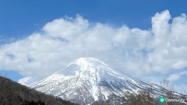 #沉醉櫻花海，去到相川見到羊蹄山，因為落雪既關係，遠處已經見...