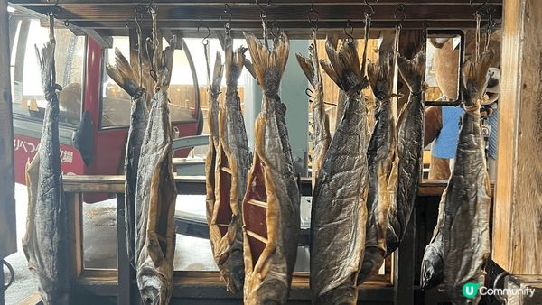 #沉醉櫻花海，去到相川見到羊蹄山，因為落雪既關係，遠處已經見...