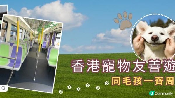 【寵物車廂】2025香港寵物友善搭車全攻略