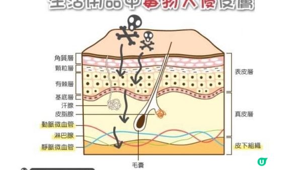 逐漸變「白」又得，立即變「白」亦得？！