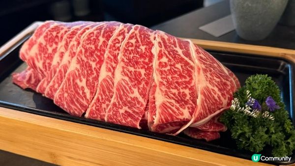 「麻辣鴨血任食+超萌企鵝丸子！湊湊火鍋的台式小確幸」| AIRSIDE