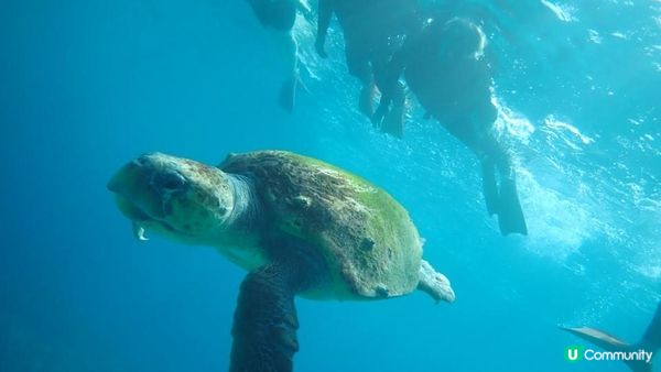 大癲一個人去沖繩之旅，無車牌開電動車上山吃好西