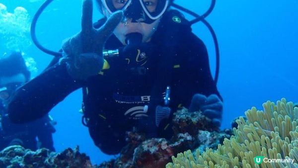 大癲一個人去沖繩之旅，無車牌開電動車上山吃好西