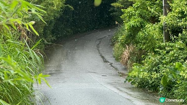 大癲一個人去沖繩之旅，無車牌開電動車上山吃好西