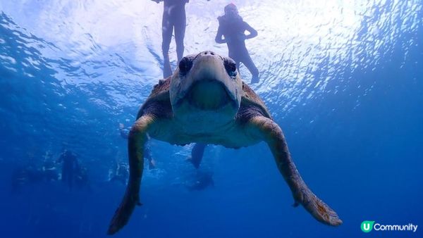 大癲一個人去沖繩之旅，無車牌開電動車上山吃好西