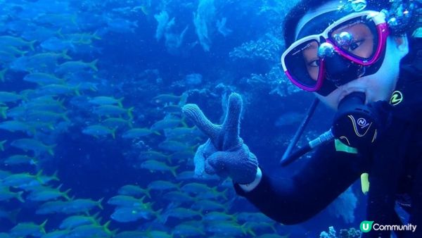 大癲一個人去沖繩之旅，無車牌開電動車上山吃好西