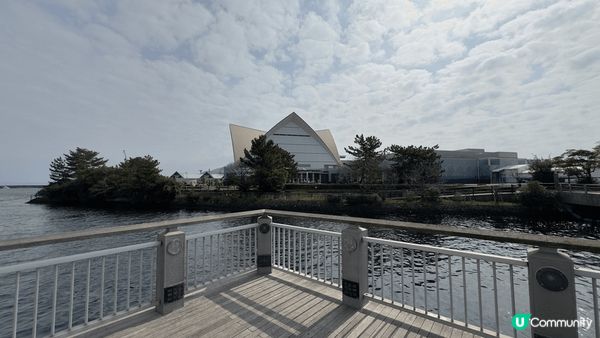 台北的情人橋，日本大阪的道頓堀，和鹿兒島的水族館