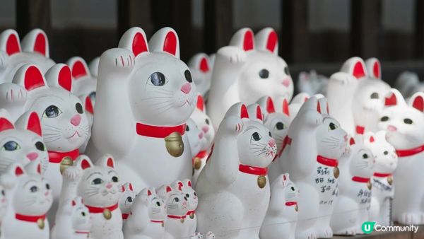 #Chill嘆酒店旅人祭  #別要再蝨眠