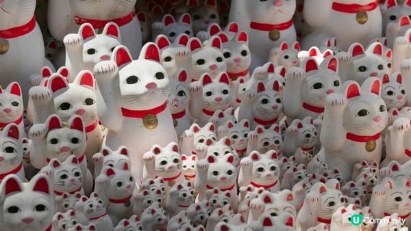 #Chill嘆酒店旅人祭  #別要再蝨眠