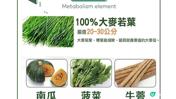 【長生不老草】維他命C的8000倍！大麥若葉🌿