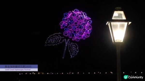 【玩樂】”Love In The Sky" 無人機表演．黃金海岸繡球花節｜文迪．漫遊．慢生活｜