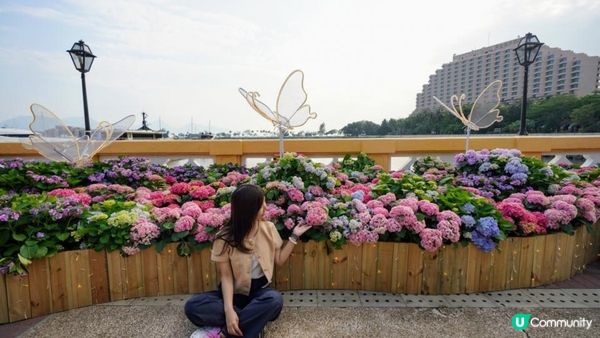 【玩樂】”Love In The Sky" 無人機表演．黃金海岸繡球花節｜文迪．漫遊．慢生活｜