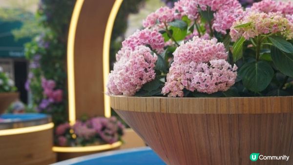 【玩樂】”Love In The Sky" 無人機表演．黃金海岸繡球花節｜文迪．漫遊．慢生活｜