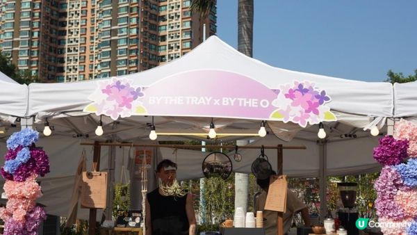 【玩樂】”Love In The Sky" 無人機表演．黃金海岸繡球花節｜文迪．漫遊．慢生活｜