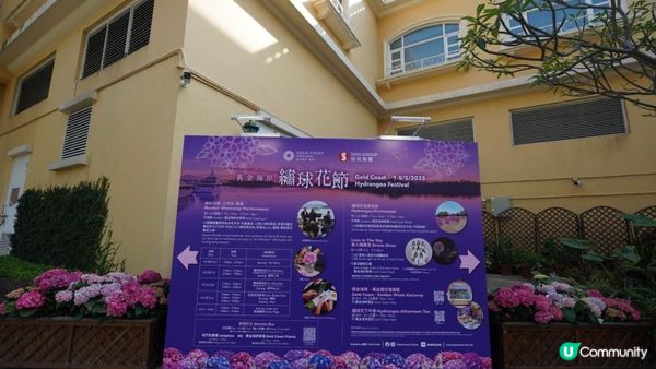 【玩樂】”Love In The Sky" 無人機表演．黃金海岸繡球花節｜文迪．漫遊．慢生活｜