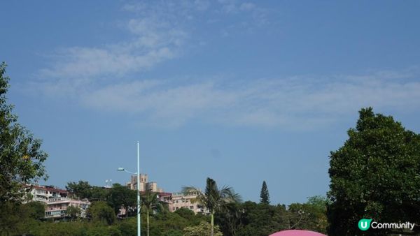 【玩樂】”Love In The Sky" 無人機表演．黃金海岸繡球花節｜文迪．漫遊．慢生活｜