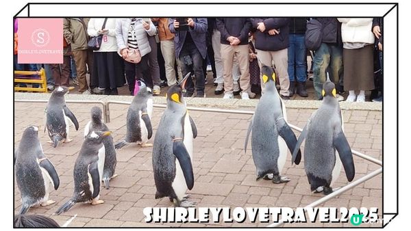 【日系情旅遊日本】接近溫泉街、地獄谷！北海道溫泉酒店「登別石水亭」