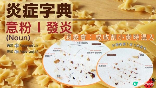 【以為健康D】過多蛋白質 I 我唔敢再食意粉