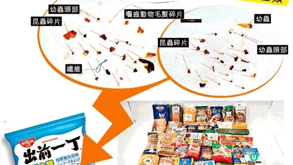 【以為健康D】過多蛋白質 I 我唔敢再食意粉