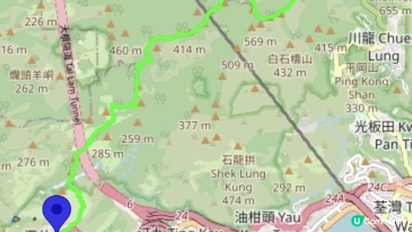 【荃錦公路至深井行山篇】麥理浩徑9段，八鄉山火瞭望台/鱷魚朝天🐊禾雀花果實