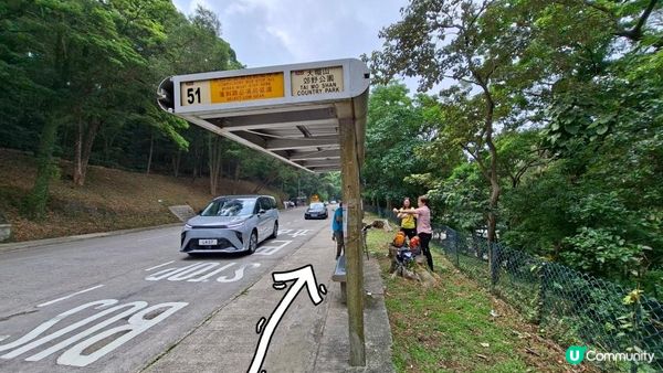 【荃錦公路至深井行山篇】麥理浩徑9段，八鄉山火瞭望台/鱷魚朝天🐊禾雀花果實