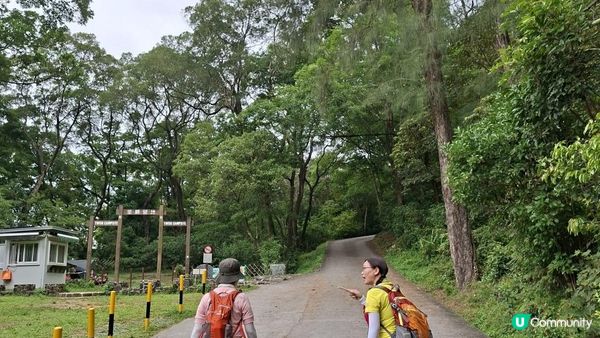 【荃錦公路至深井行山篇】麥理浩徑9段，八鄉山火瞭望台/鱷魚朝天🐊禾雀花果實