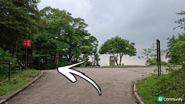 【荃錦公路至深井行山篇】麥理浩徑9段，八鄉山火瞭望台/鱷魚朝天🐊禾雀花果實