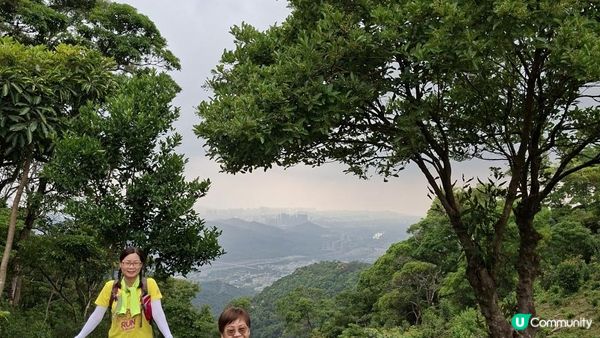 【荃錦公路至深井行山篇】麥理浩徑9段，八鄉山火瞭望台/鱷魚朝天🐊禾雀花果實