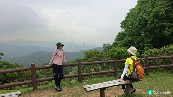 【荃錦公路至深井行山篇】麥理浩徑9段，八鄉山火瞭望台/鱷魚朝天🐊禾雀花果實