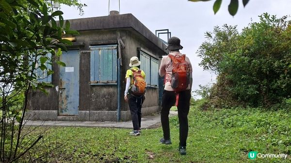 【荃錦公路至深井行山篇】麥理浩徑9段，八鄉山火瞭望台/鱷魚朝天🐊禾雀花果實