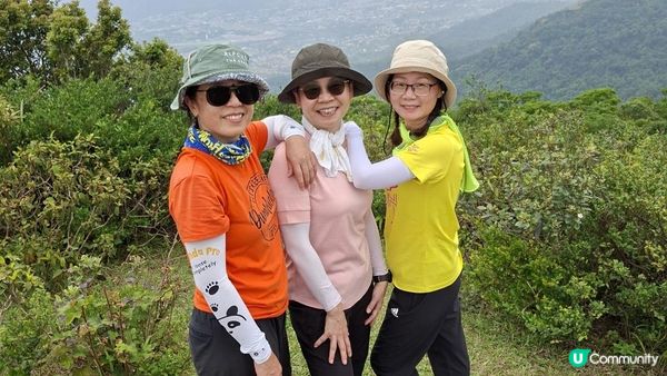 【荃錦公路至深井行山篇】麥理浩徑9段，八鄉山火瞭望台/鱷魚朝天🐊禾雀花果實