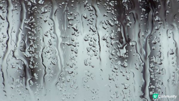 【裝修佬文章轉載】家居防濕祕訣大公開！潮濕天開窗還是關窗？ 原來開窗都有最佳時機！