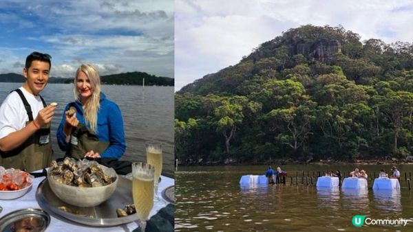 探索悉尼生蠔農場——「Immerse Yourself」水中剝蠔用餐體驗