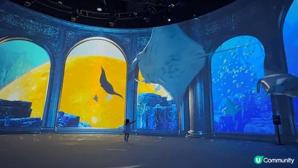 Immersify 是位於吉隆坡的，