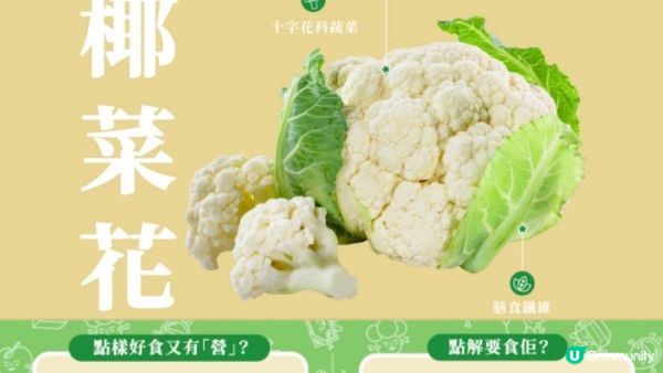 【秘傳】零捱餓！1個月輕10磅