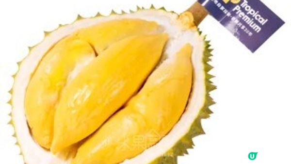 食榴槤可反映品味??認識泰國TP榴槤~