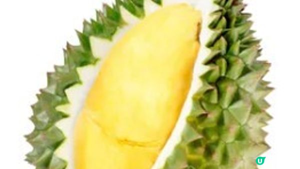 食榴槤可反映品味??認識泰國TP榴槤~