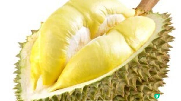 食榴槤可反映品味??認識泰國TP榴槤~