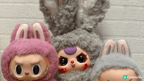 裝飾屋企為家增添溫暖感，收納清潔打理真係好重要。