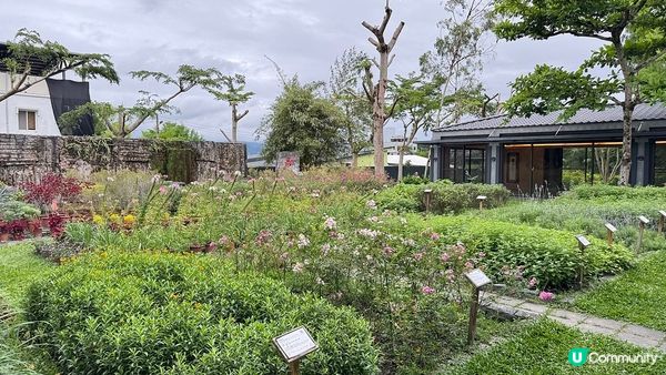 [台灣旅行] 花蓮酒店推介：秧悦美地度假酒店 Gaeavilla Resort