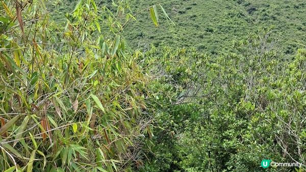 【西貢滘西洲行山篇】斜炮石、大嶺、二嶺、清音石塔/天窗石