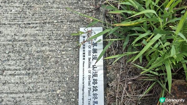 【西貢滘西洲行山篇】斜炮石、大嶺、二嶺、清音石塔/天窗石