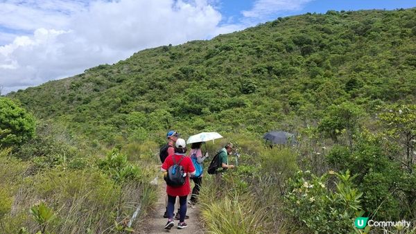 【西貢滘西洲行山篇】斜炮石、大嶺、二嶺、清音石塔/天窗石