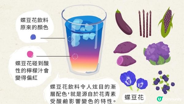 10倍花青素💙好過食 #藍莓丸