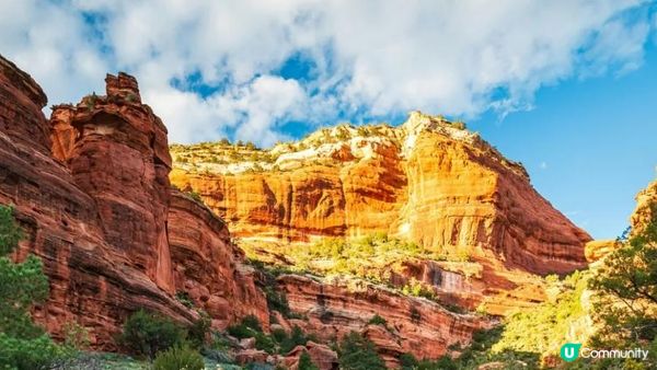 如果屋企唔係你最想離開嘅地方，咁佢又算係乜嘢呢？