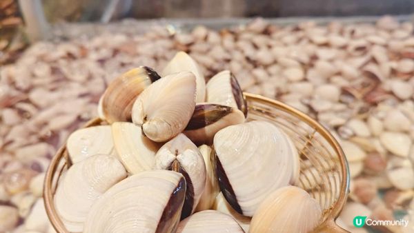 香港火鍋圖鑑｜3間人氣爆燈必吃火鍋店！