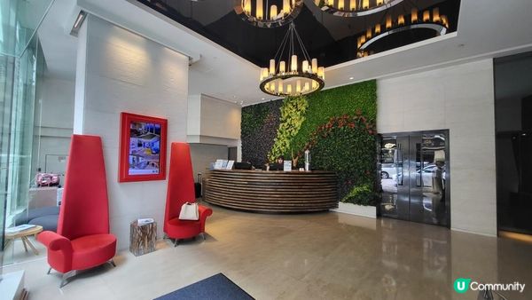 隱藏在鬧市的綠洲