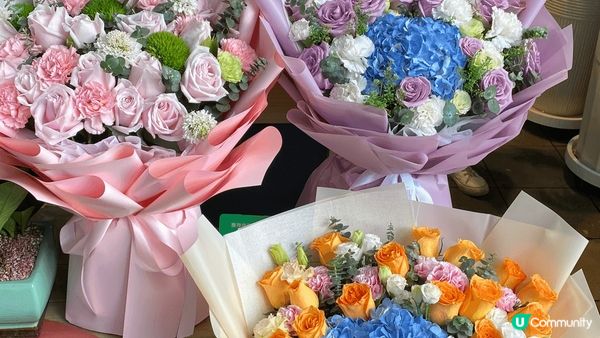 深圳 荷蘭花卉小鎮